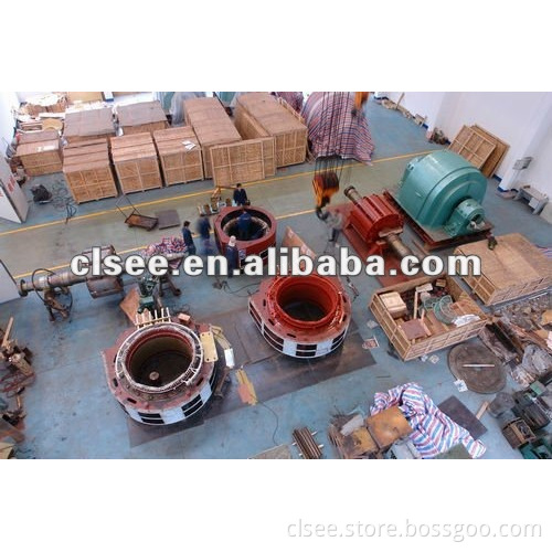 hydraulic generator/ hydro generator/ hydropower station